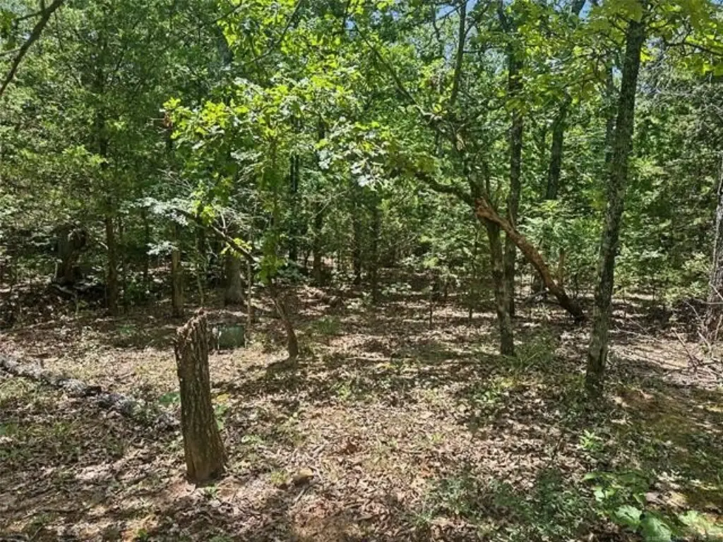 Picture 8