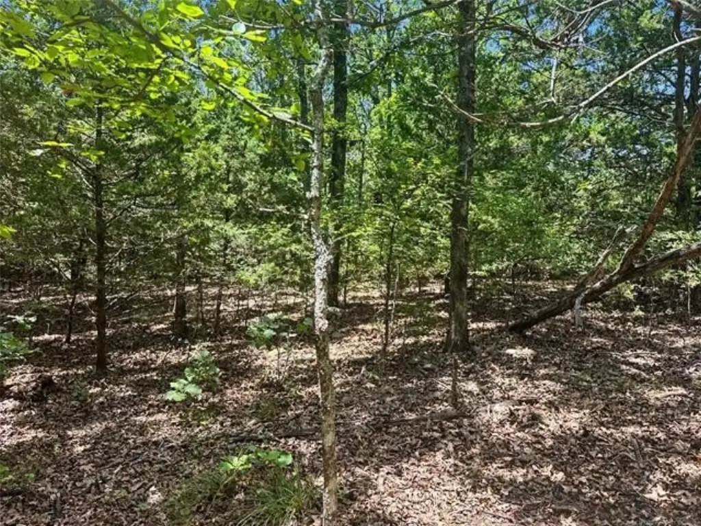 Picture 13