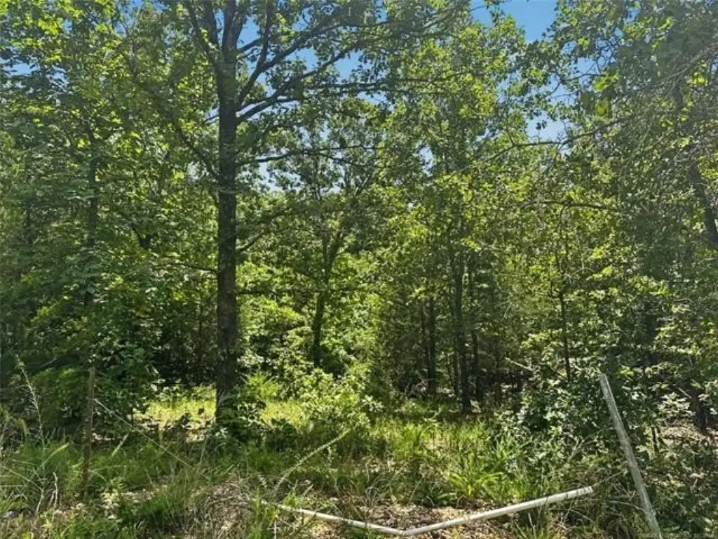 Picture 3
