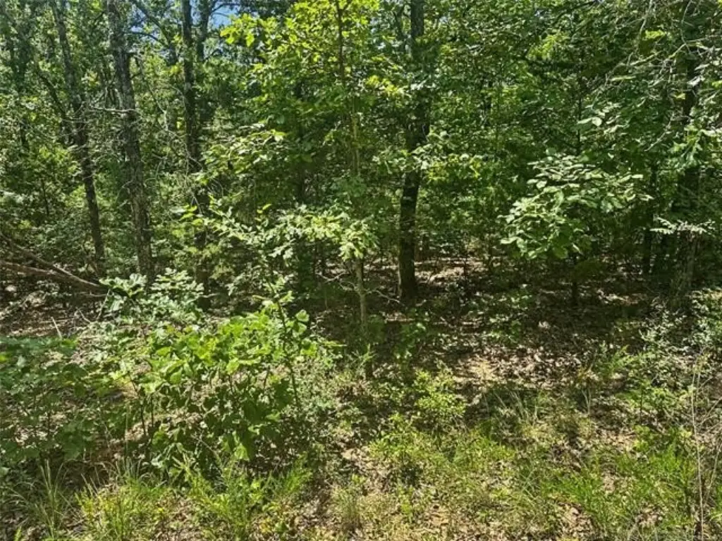Picture 14