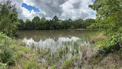 Wooded Hunting Land with Pond