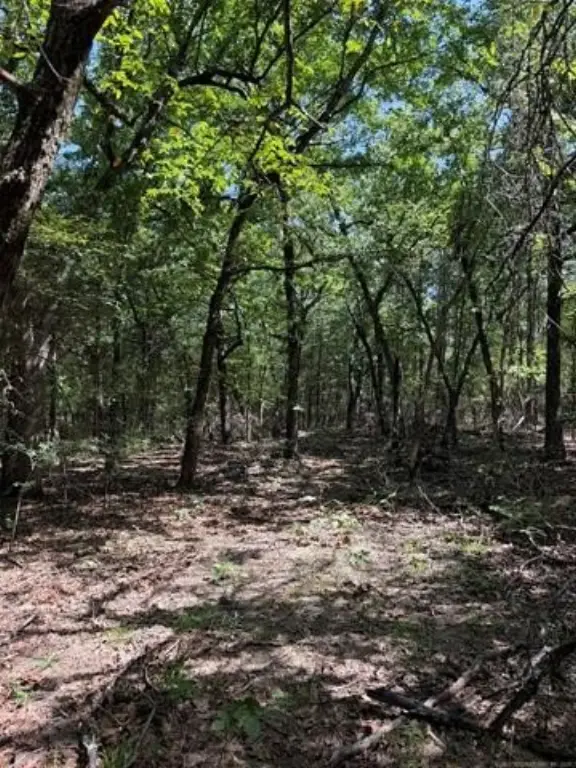 Picture 28