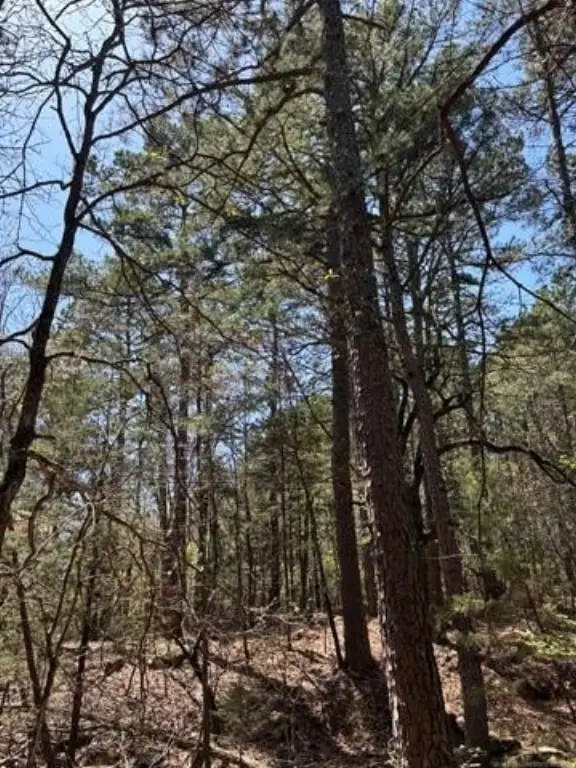 Picture 19
