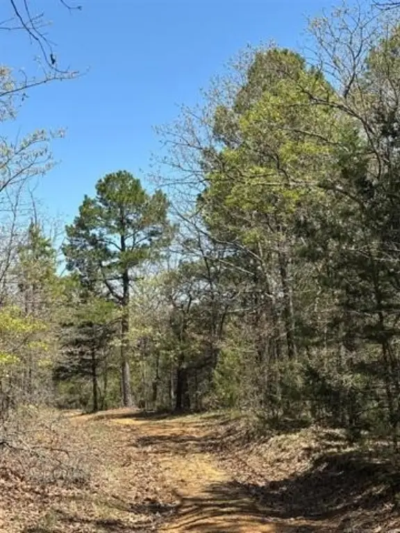 Picture 13