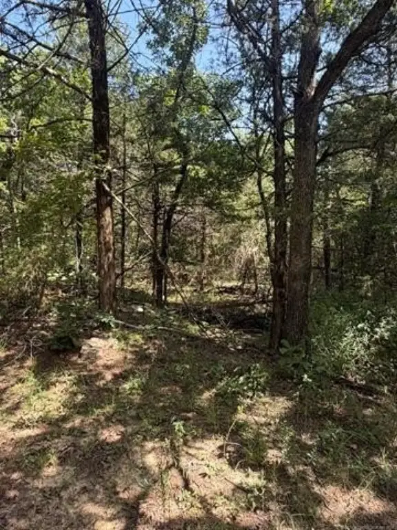 Picture 29