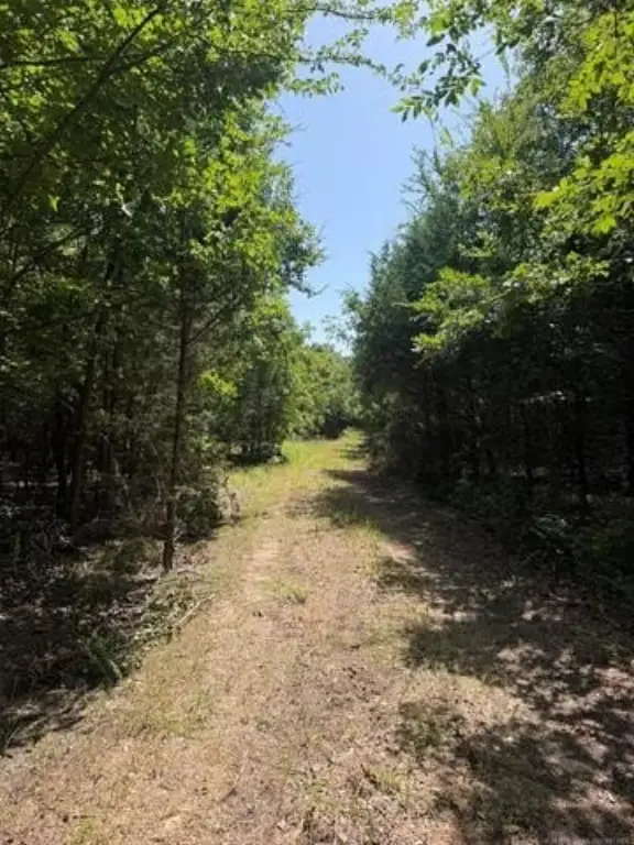 Picture 26