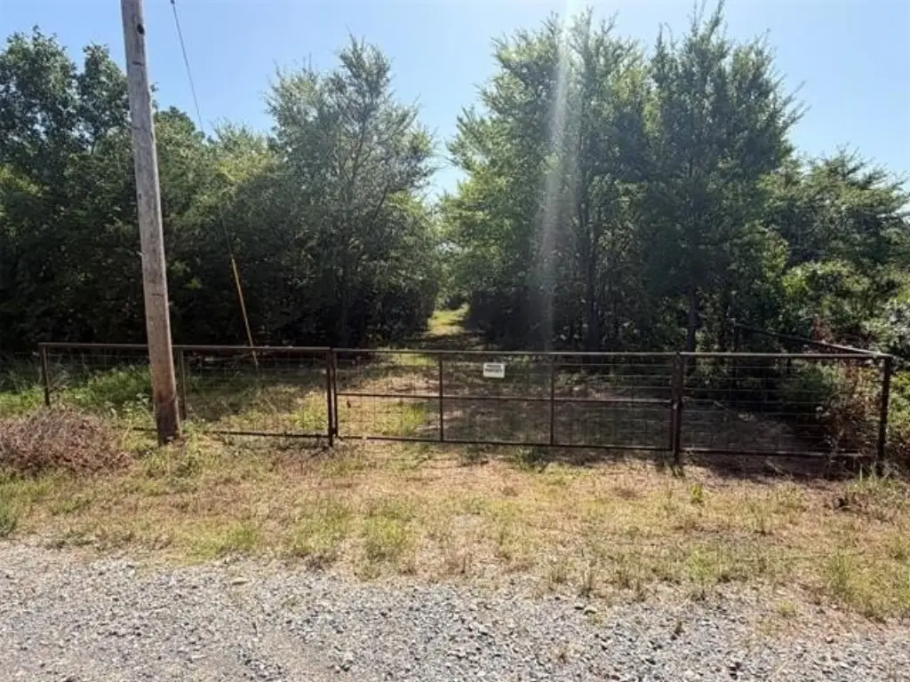 Picture 3