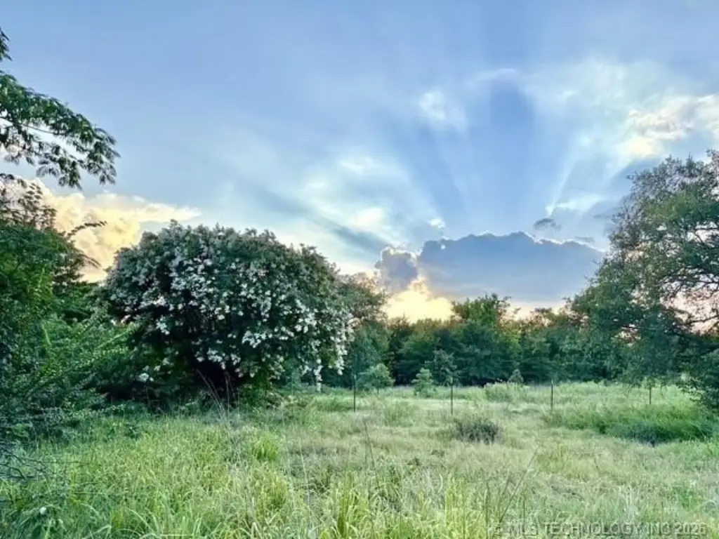 Picture 7