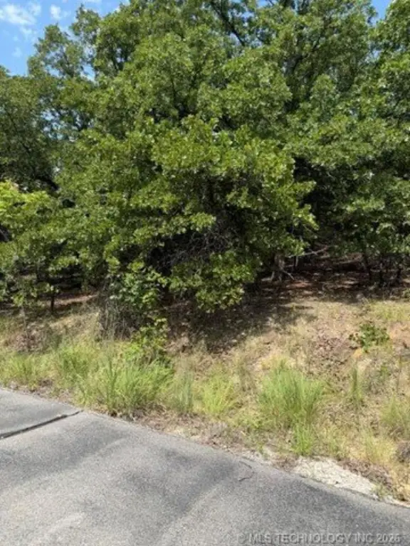 Picture 5