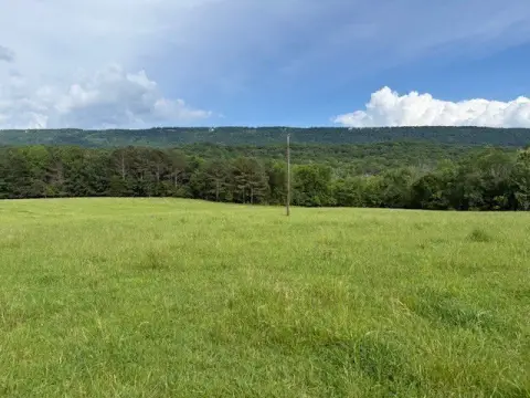 81 Acres with Custom Cabin