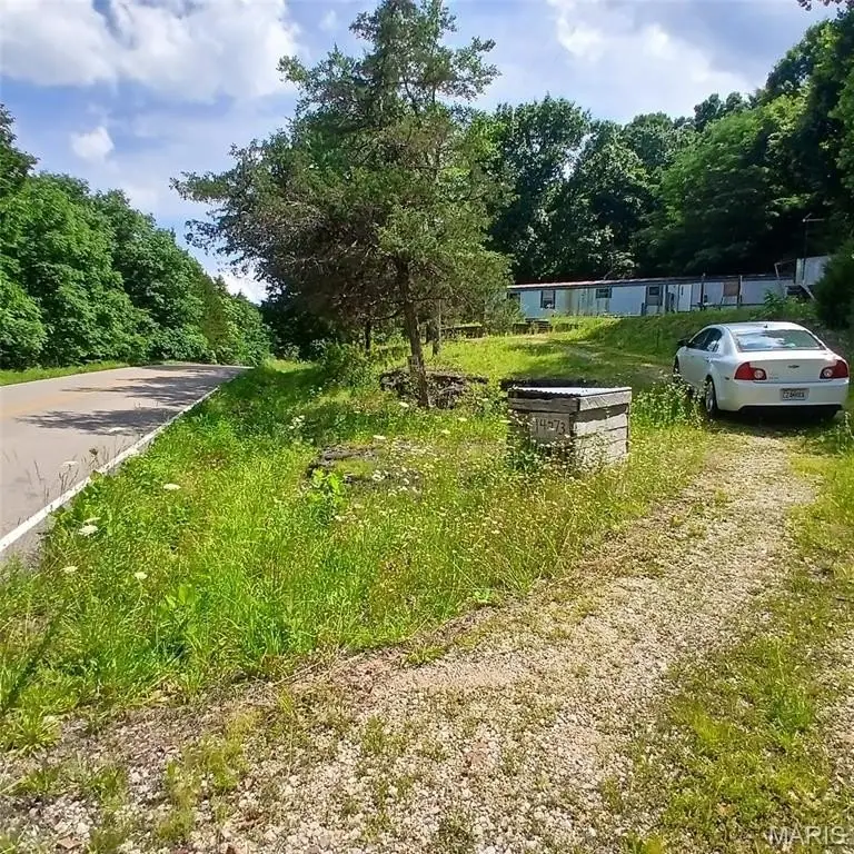 Picture 5