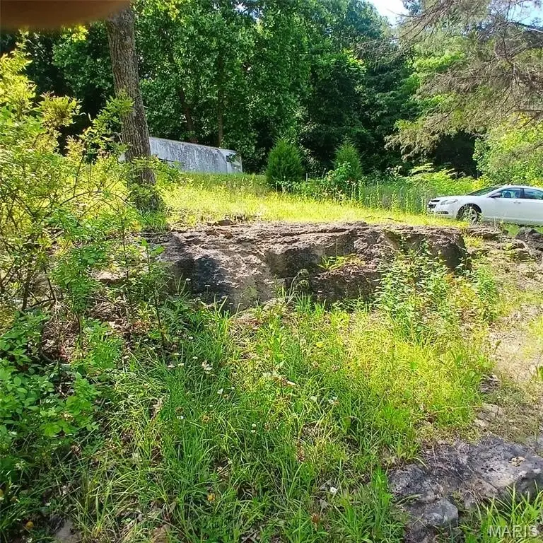 Picture 6