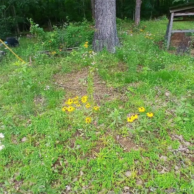 Picture 3