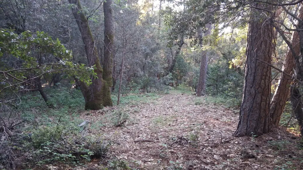 Picture 10
