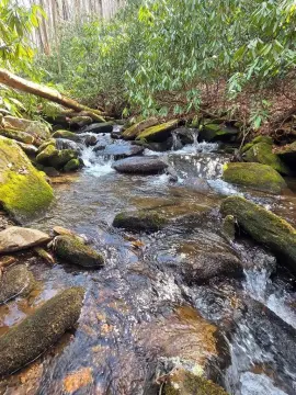 Creekfront Mountain Land