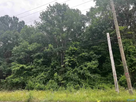 Decatur Land Opportunity