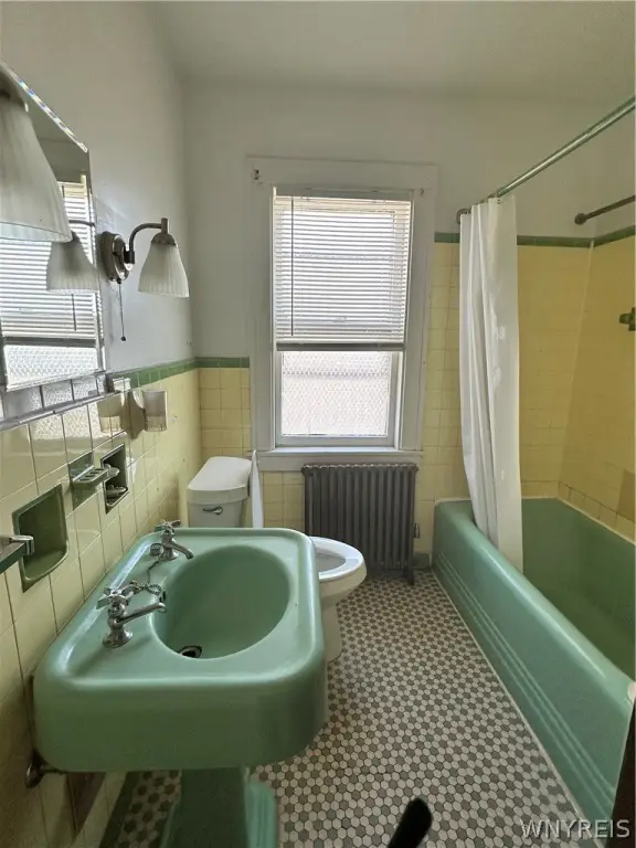 Picture 19
