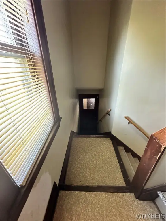 Picture 26