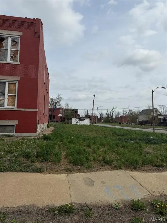 Picture 3