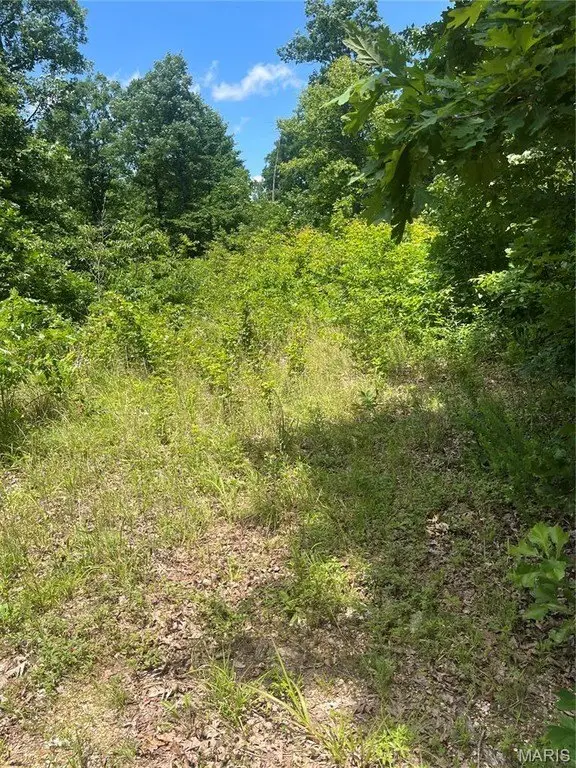 Picture 2