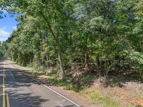 Laneville, TX Rural Acreage