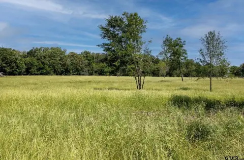Grand Saline Rural Acreage Available