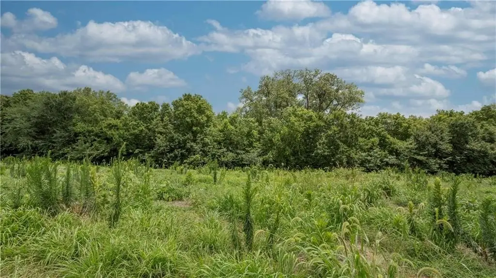 Picture 28