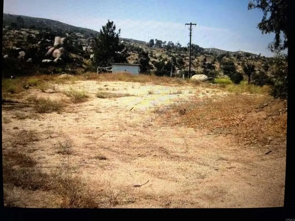 Picture 2