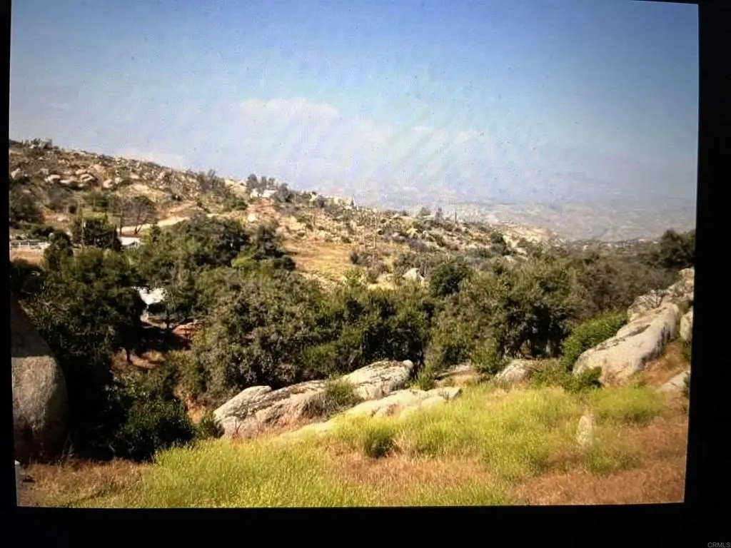Picture 3