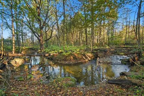 Creekside Hunting Land