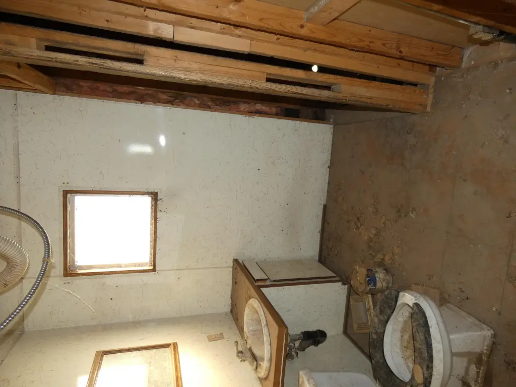 Picture 11