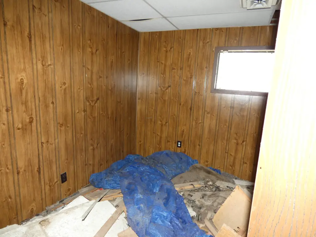 Picture 9