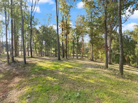 Unrestricted Building Lot Near Lake