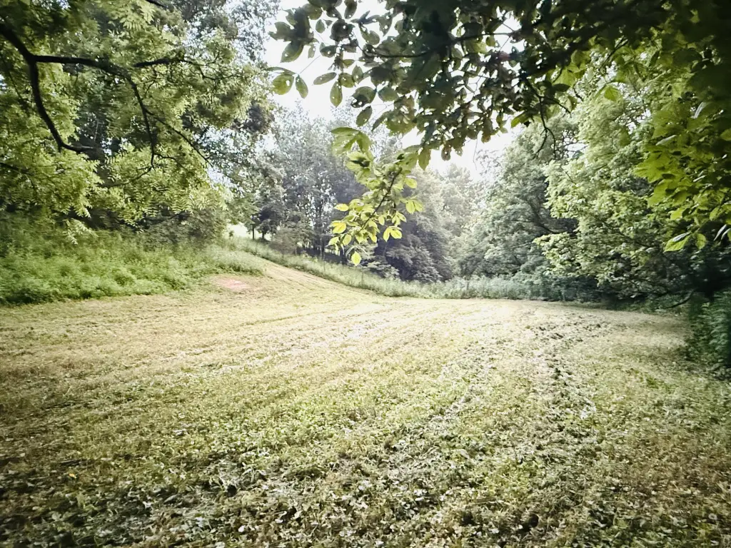 Picture 39