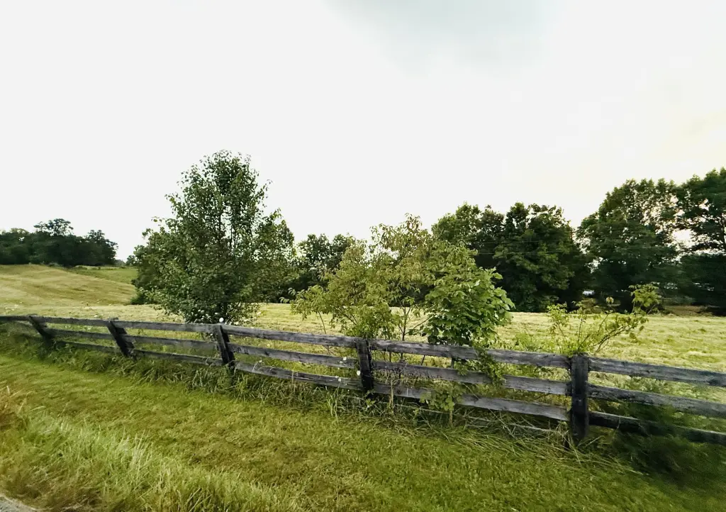 Picture 42