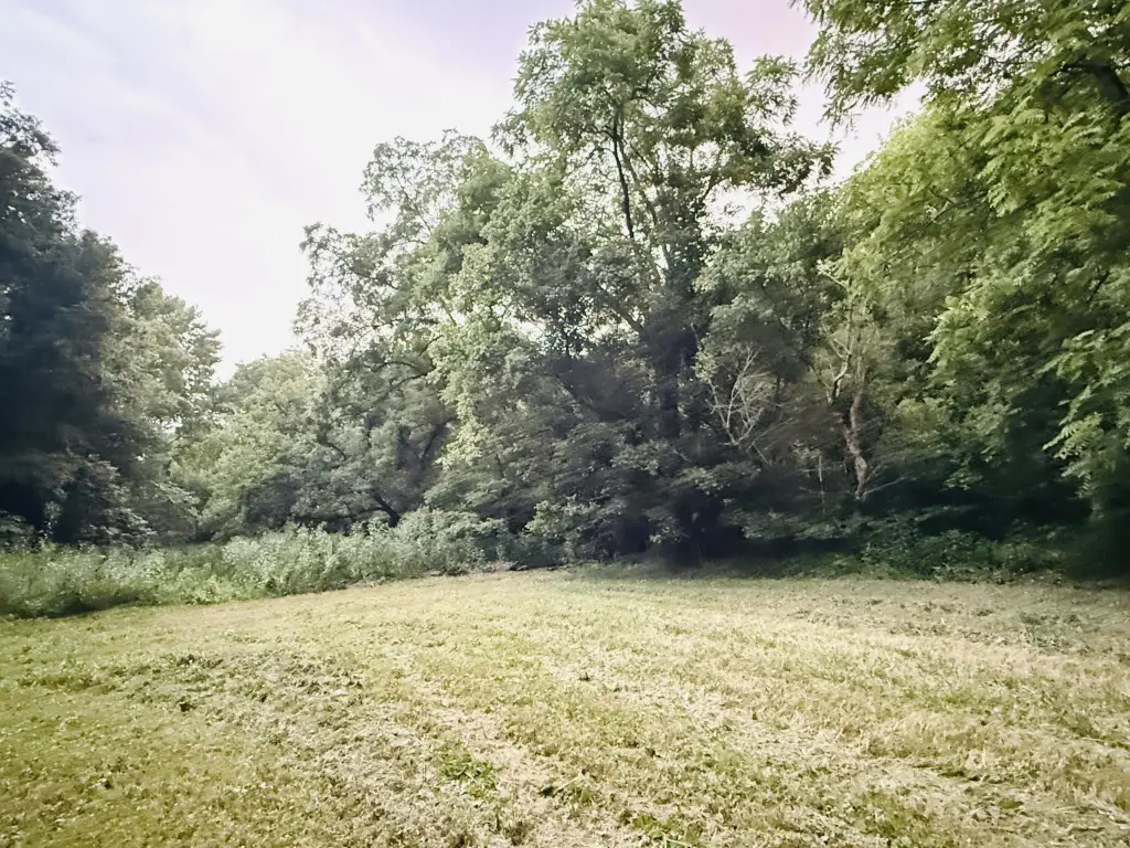 Picture 36