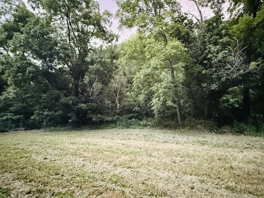 Picture 30