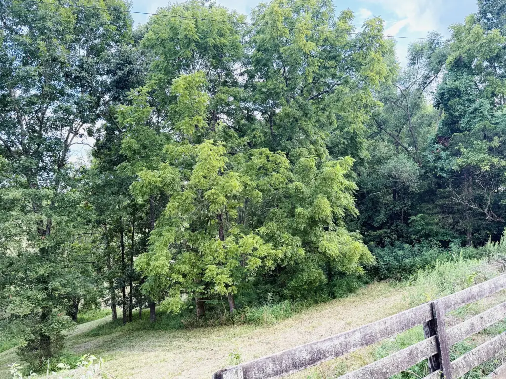 Picture 25