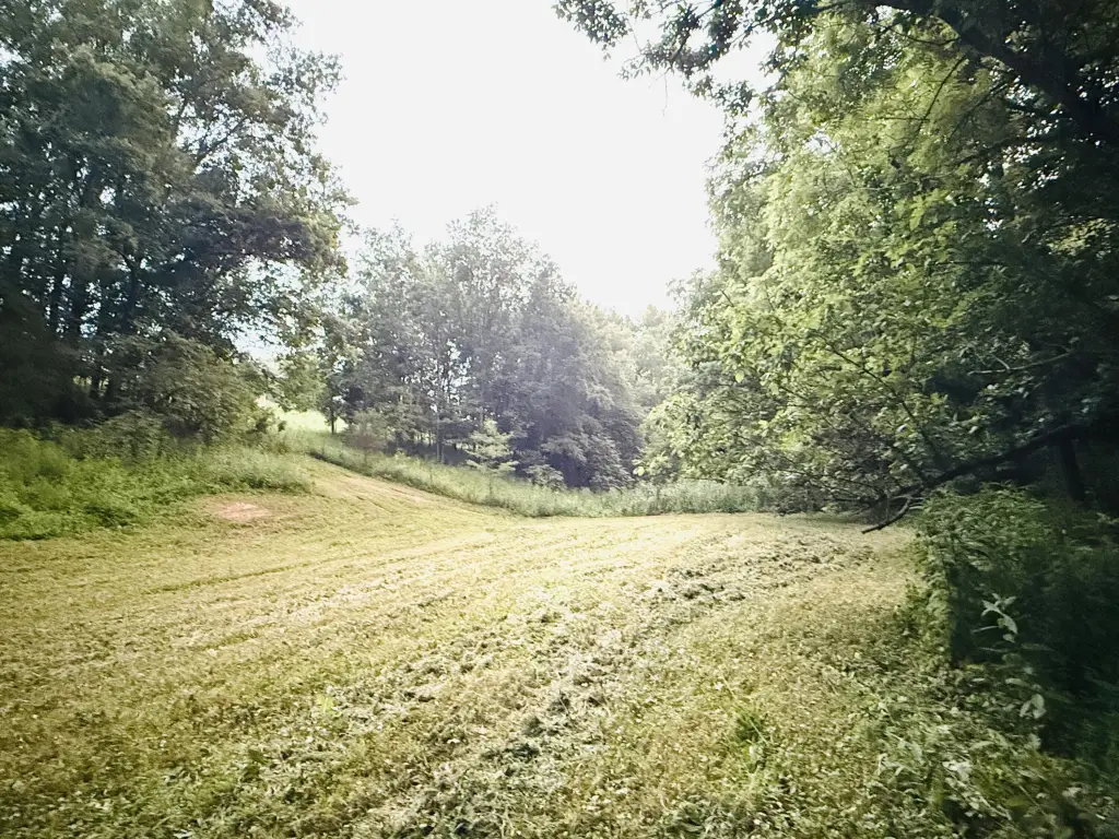 Picture 38