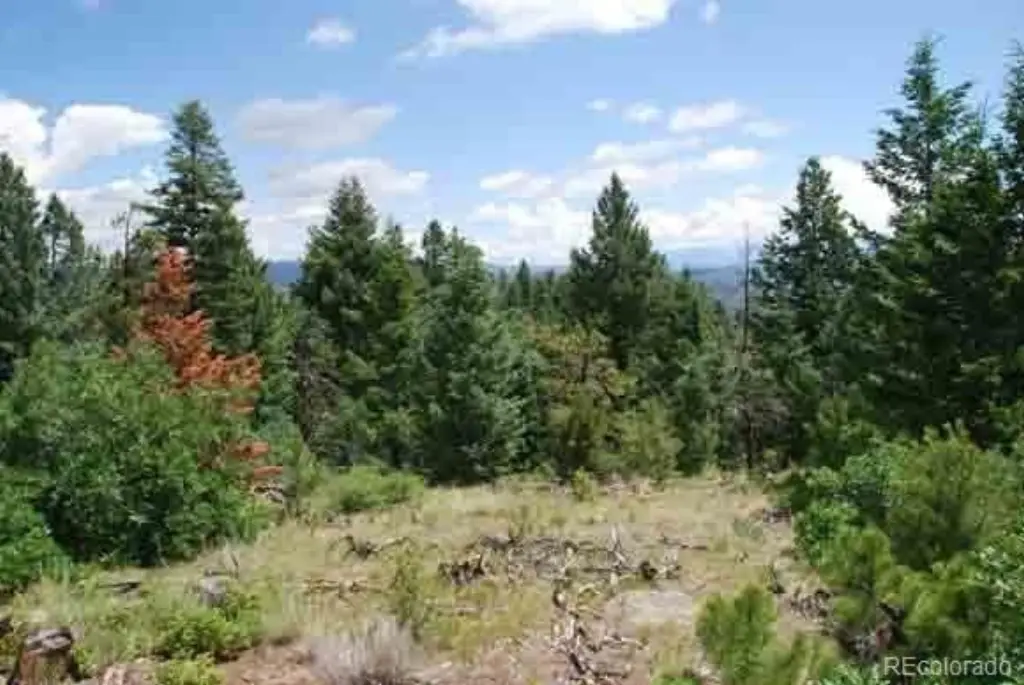 Picture 8