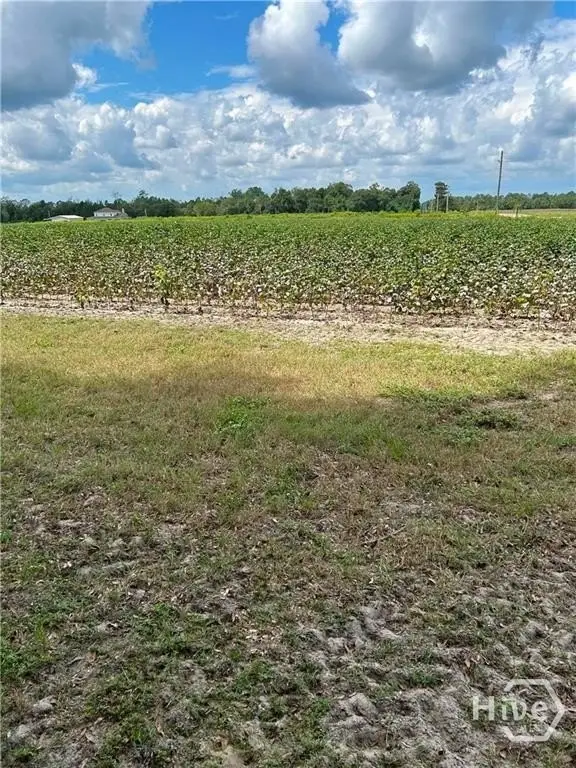 Picture 2