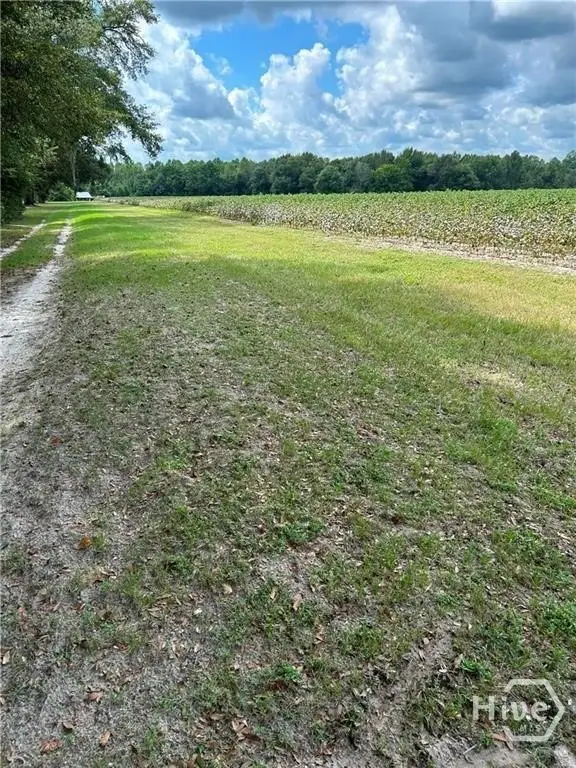 Picture 3