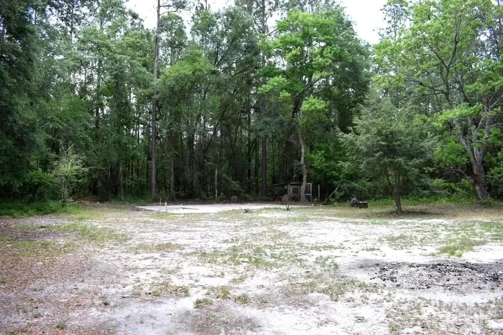 Picture 5