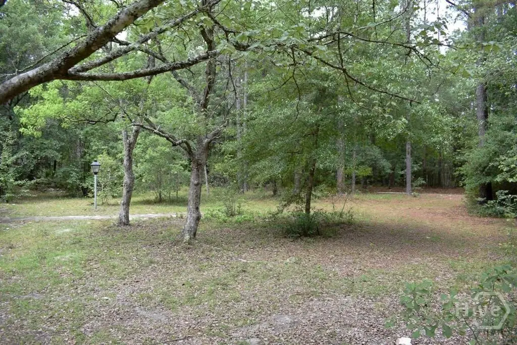 Picture 7