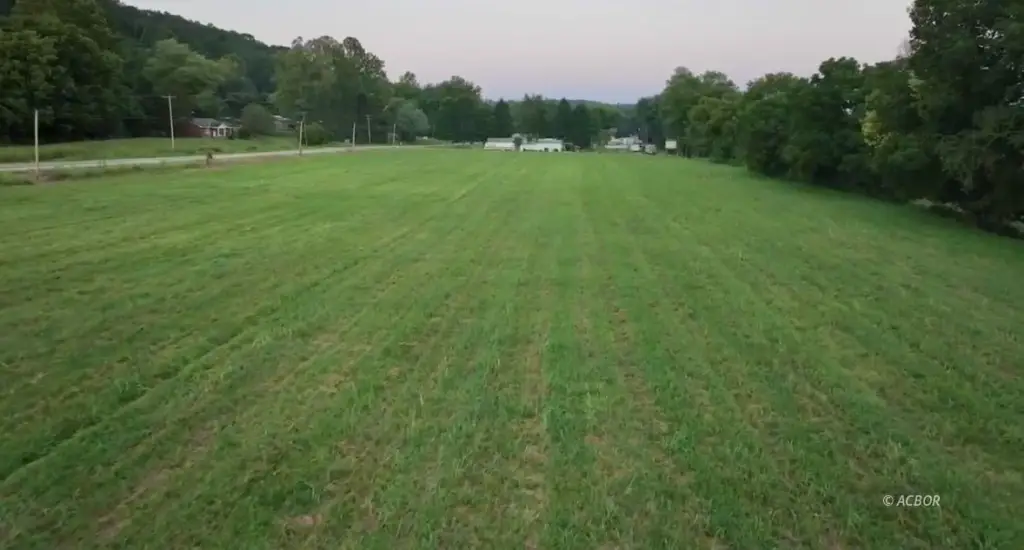 Picture 5