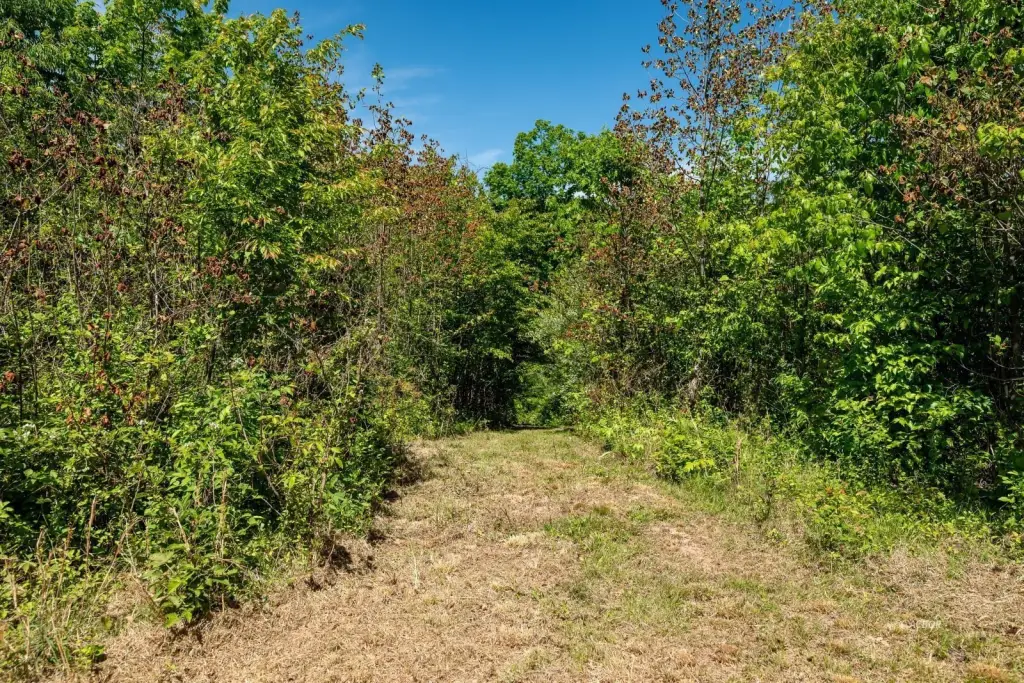 Picture 24