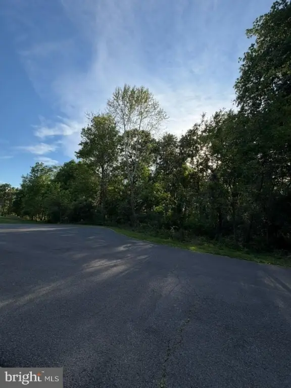 Picture 2