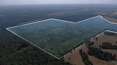285 Acres of Reforested Land