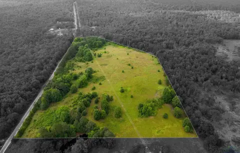 20 Acre Partially Wooded Land