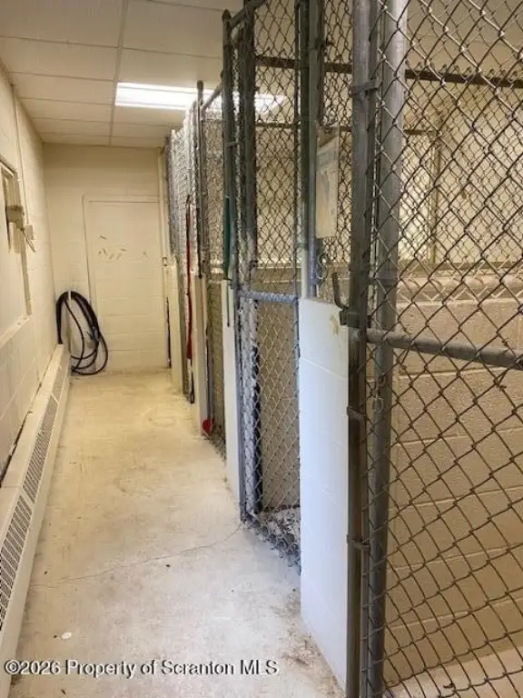 Picture 25